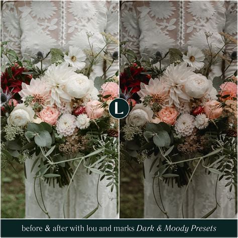 Dark & Moody Preset Collection – Lou & Marks Presets