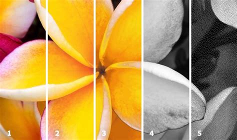 Understanding Photoshop color modes