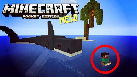 Image result for Minecraft Shark Command Block