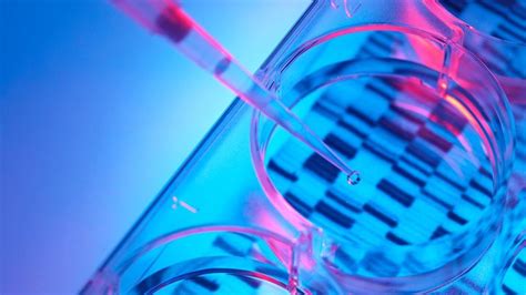 Biotech Just Received Pattern 的图像结果