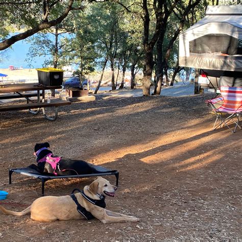 Collins Lake Recreation Area Camping | Oregon House, California