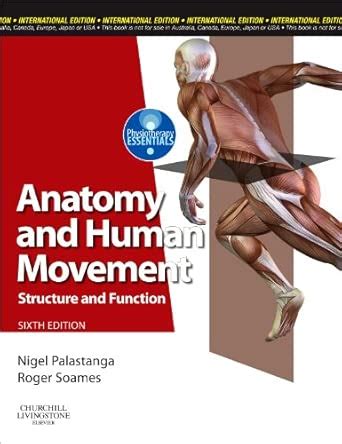 Buy Anatomy and Human Movement: Structure and function, International ...