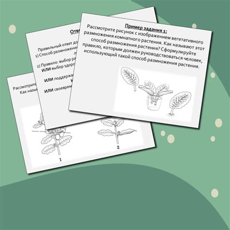 Подготовка к ОГЭ по биологии, задание 22 (ботаника)