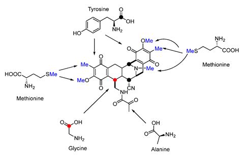 Biosynthesis of DNA-Alkylating Antitumor Natural Products