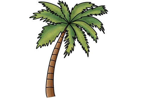 Palm Tree Drawings Color