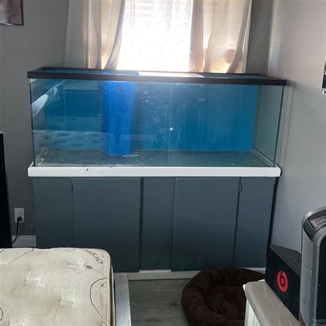 100 Gallon Fish Tank for Sale in Lakewood, CA - OfferUp