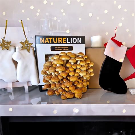 5 White Elephant Themes For This Year's Gift Exchange