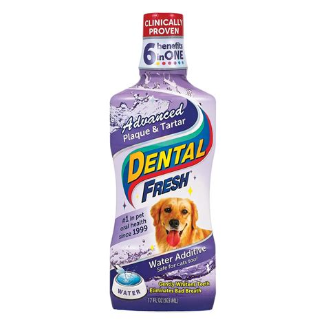 Dental Fresh Advanced Plaque and Tartar Water India | Ubuy