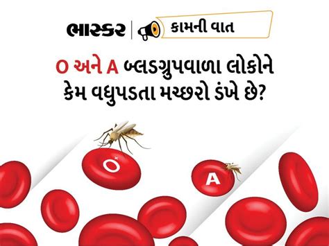 Do you sleep with the window open in the heat? You don't fly mosquitoes ...