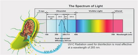 Image result for How Does UVC Work