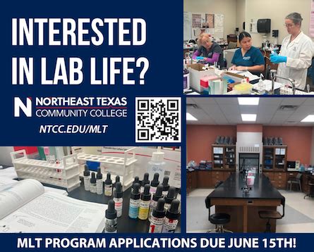 Image result for MLT Program