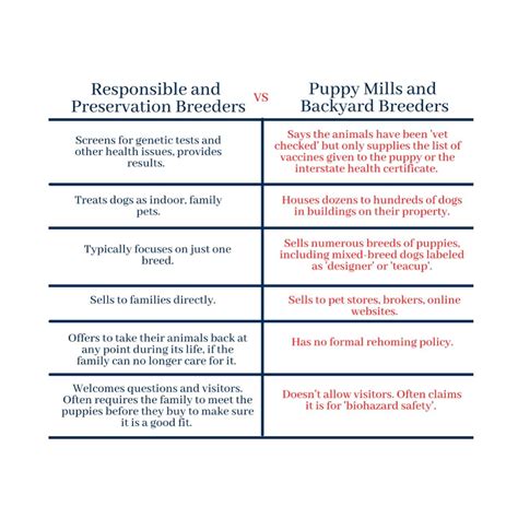 Semper Doodles | 🚨 BIG news for SOME pet parents! 🐾 Starting in 2025 ...