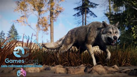 Image result for Rust Tips and Tricks PS4