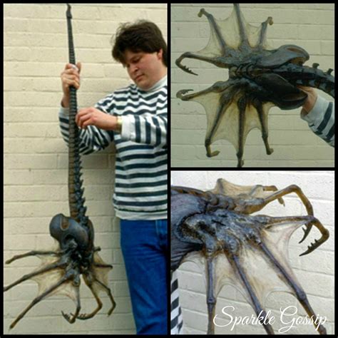 Giant Sea Spider Facehugger Scary Giant Antarctican Sea Spiders #scary
