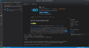 Image result for vs Code Visual Go