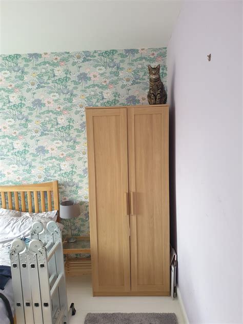 King of the castle wa wa wee wa : aww