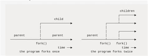 Operating System: Fork() | OS