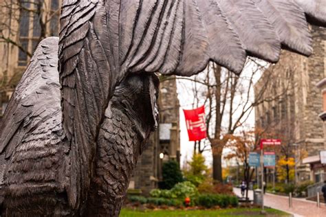 Several more Temple student visas revoked, research funding pulled ...