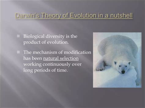 Evolution Theory 的图像结果