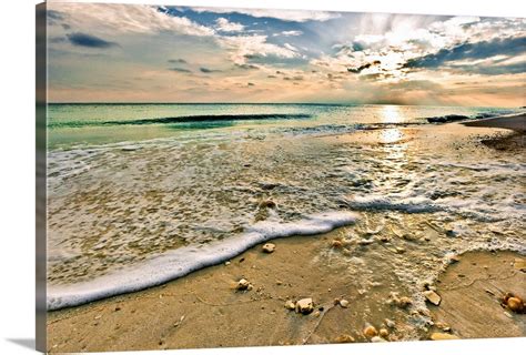 Image result for Sunset Beach Sea Shells