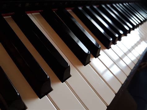 Image result for Piano Roblox Corpse Bride