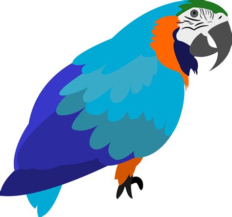 Parrot Bird Clipart
