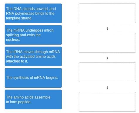 Please help! This is my last question for this section. Instructions ...