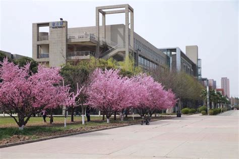 【高校招生季】美丽的西安工业大学与你相约 - 西部网（陕西新闻网）