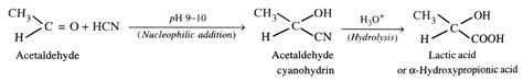 What is meant by the following terms ? Give an example of the reaction ...