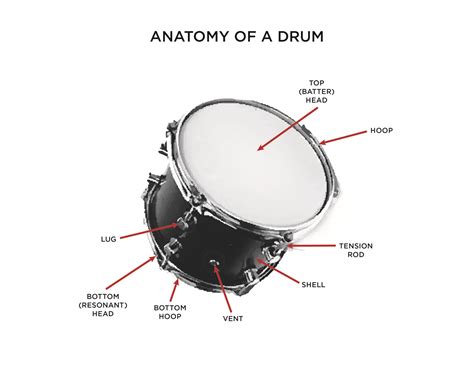 What Are The Names Of The Parts Of A Drum Set at Rita Ware blog