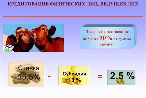 Как оформить ЛПХ и что это дает для бизнеса