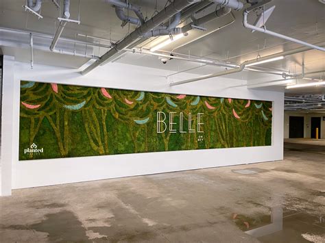 Gallery - Belle on Bev — Planted Design