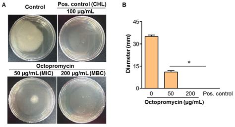 The Antimicrobial Peptide Octopromycin Suppresses Biofilm Formation and ...