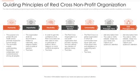 Example Business Model Matrix for a Non-Profit 的图像结果