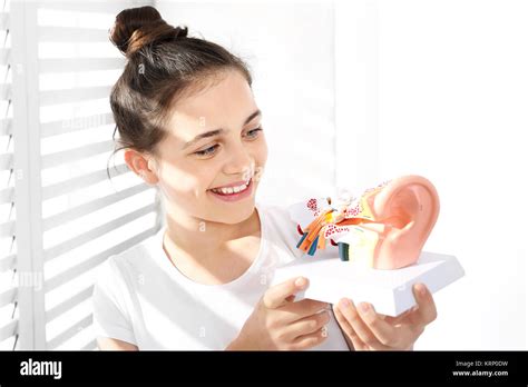 Process Models of the Auditory System 的图像结果