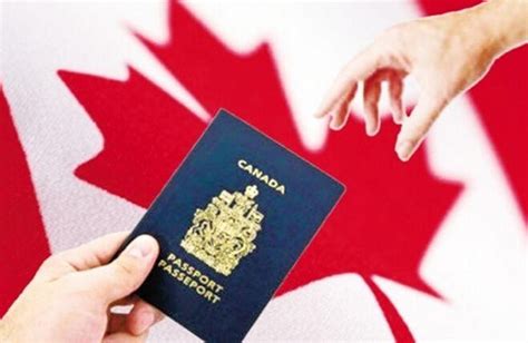 留学签和旅游签哪个好办怎么办，全网最干货的加拿大签证攻略_游学通