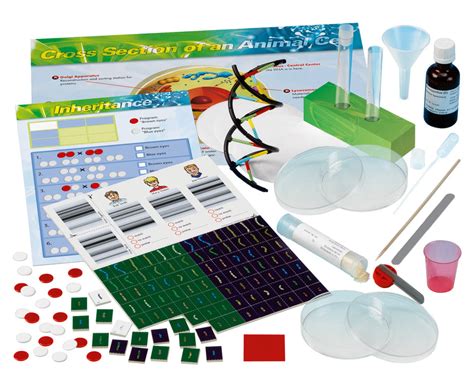 Image result for Genetics Project Kit