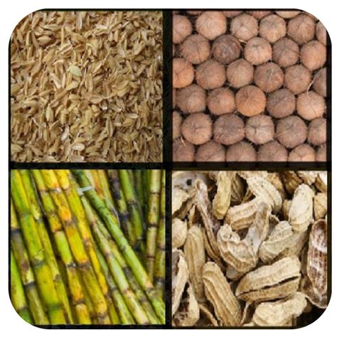 जैव इंधन (Biofuel) – मराठी विश्वकोश