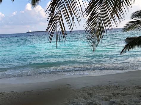 BANDOS MALDIVES - Resort Reviews, Photos, Rate Comparison - Tripadvisor