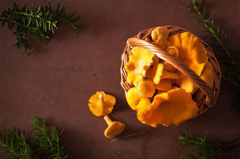Raw fresh chanterelle mushrooms on dark | Premium Photo