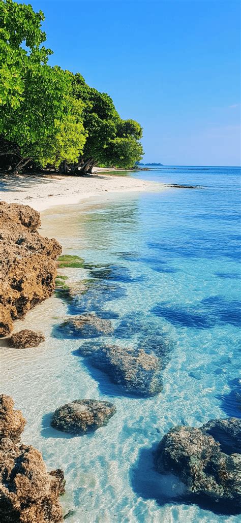 Bing Summer Beach Wallpaper 的图像结果