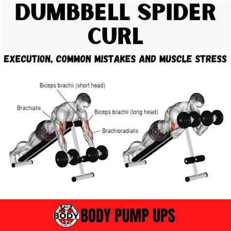 Build Bigger Biceps with Dumbbell Spider Curl