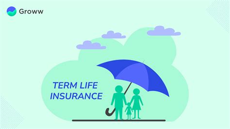 Term Life Insurance Definition 的图像结果