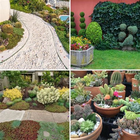 6 Low-Maintenance Succulent Garden Ideas for Any Front Yard - Alpha ...