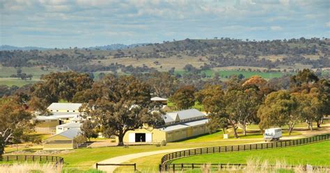 Australian stud farm owned by Godolphin put up for sale | The National