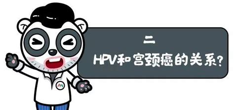 HPV是什么？ 感染HPV的途径有哪些？如何预防HPV感染？_澎湃号·政务_澎湃新闻-The Paper