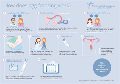 Image result for Egg Freezing Process