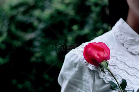 情人节收到玫瑰的女人高清图片下载-正版图片500524832-摄图网