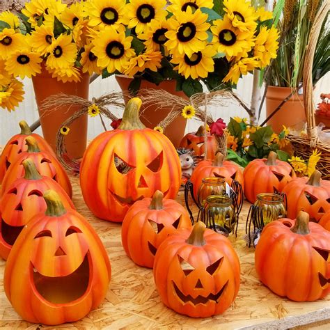 Halloween Decorations Free Stock Photo - Public Domain Pictures