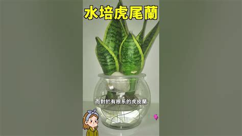 Image result for Computer Blank Window Frame